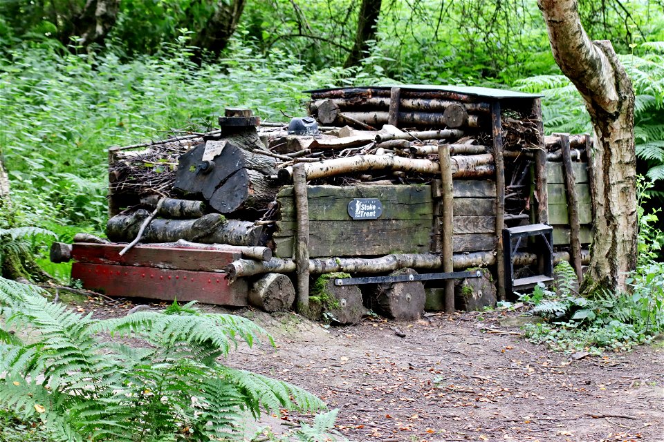 HS2 - Destroyer of Nature