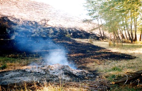 Fire Investigation: debris and open burning cause photo