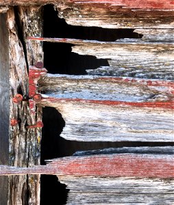 Trends in Barnwood
