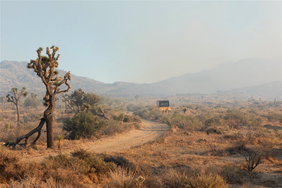 Smoke from the Elk Fire