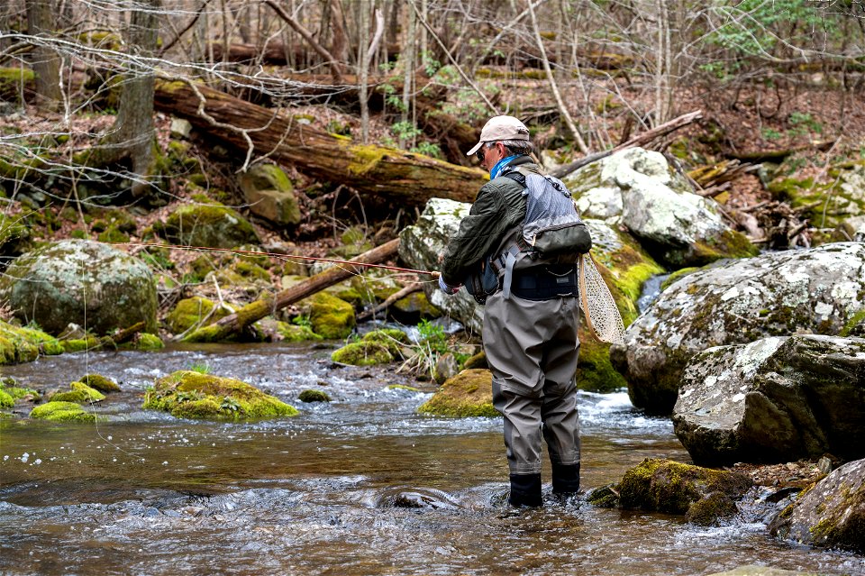 Project Healing Waters