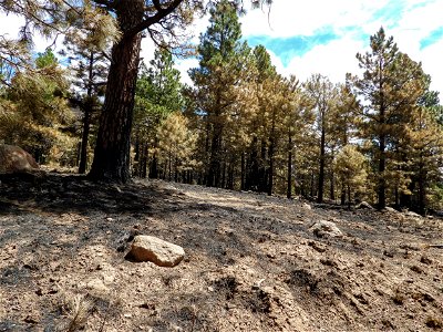Burned Area Emergency Response media briefing