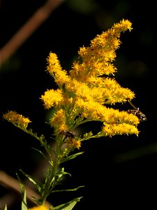 20220907-FS-Superior-SAR-009