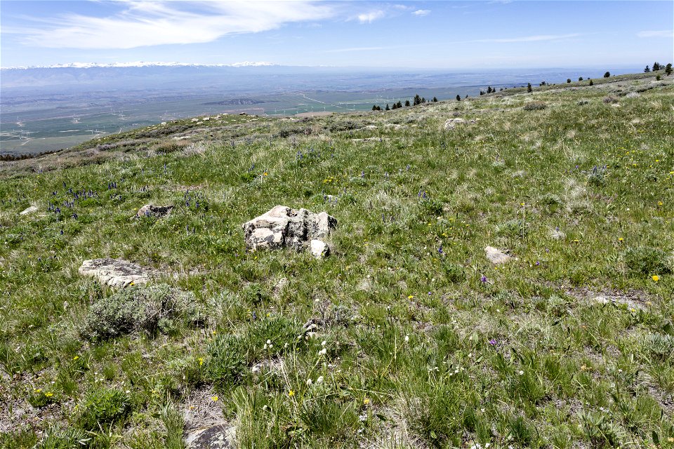 Big Pryor Mountain