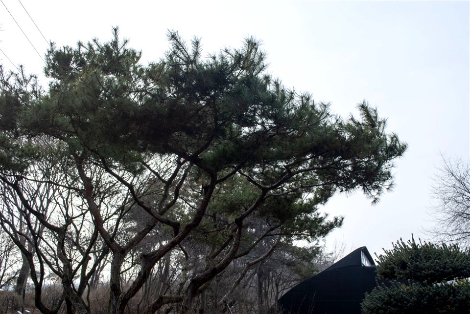 Hantaek Botanical Garden