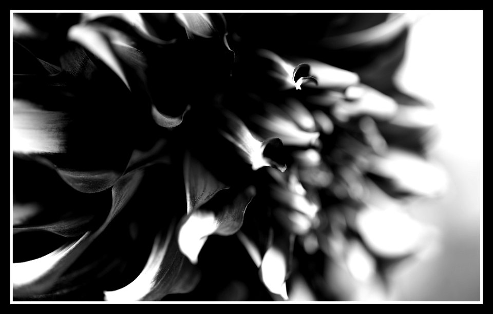 End of season