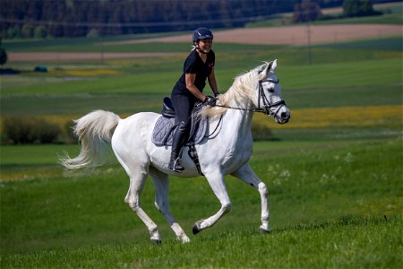 Dschesim_OS222548