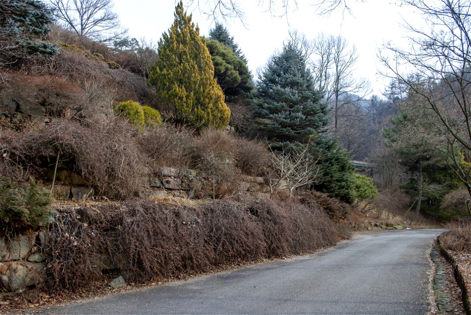 Hantaek Botanical Garden