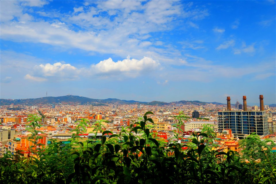 Barcelona from Montjuic