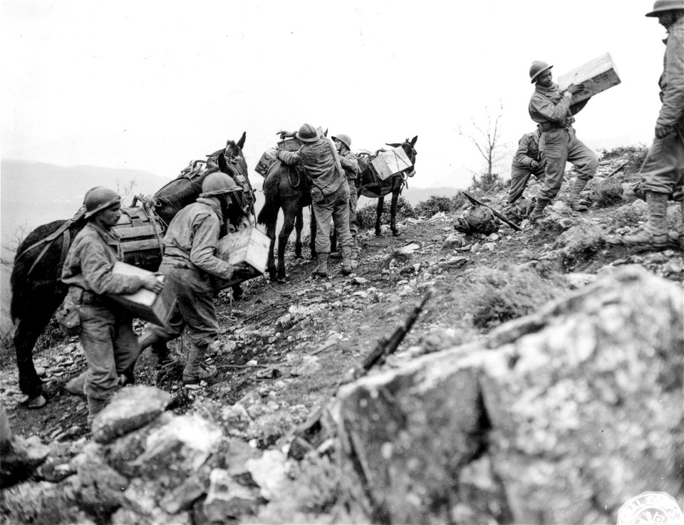 Soldiers of the 5th Rifle Regiment, 2nd Moroccan Division (French), unload boxes of American "K" Rations from a pack train which hauls supplies partially up the slope of Mount Pantano for troops on the heights.