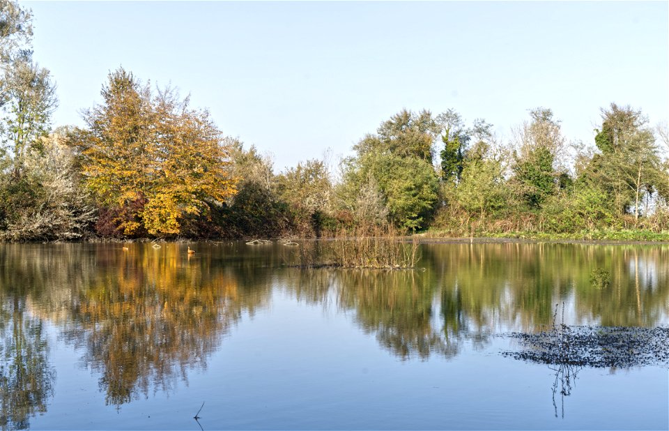 Bird reserve scene