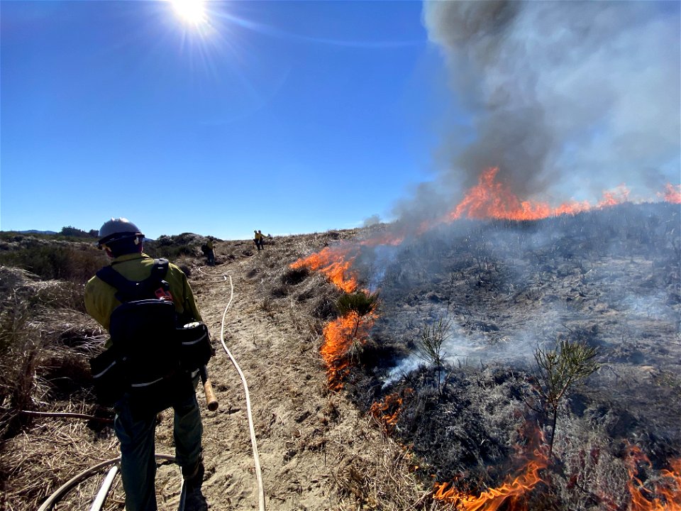 Siuslaw Oregon Dunes Prescribed Burn 2022
