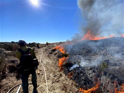 Siuslaw Oregon Dunes Prescribed Burn 2022 photo