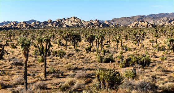 Lost Horse Valley