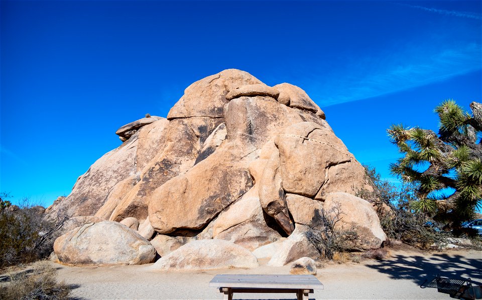 Joshua Tree National Park