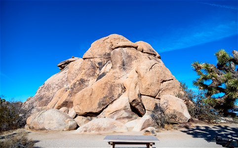 Joshua Tree National Park