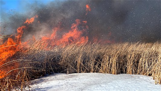 2021 USFWS Fire Employee Photo Contest Category: Fuels Management photo