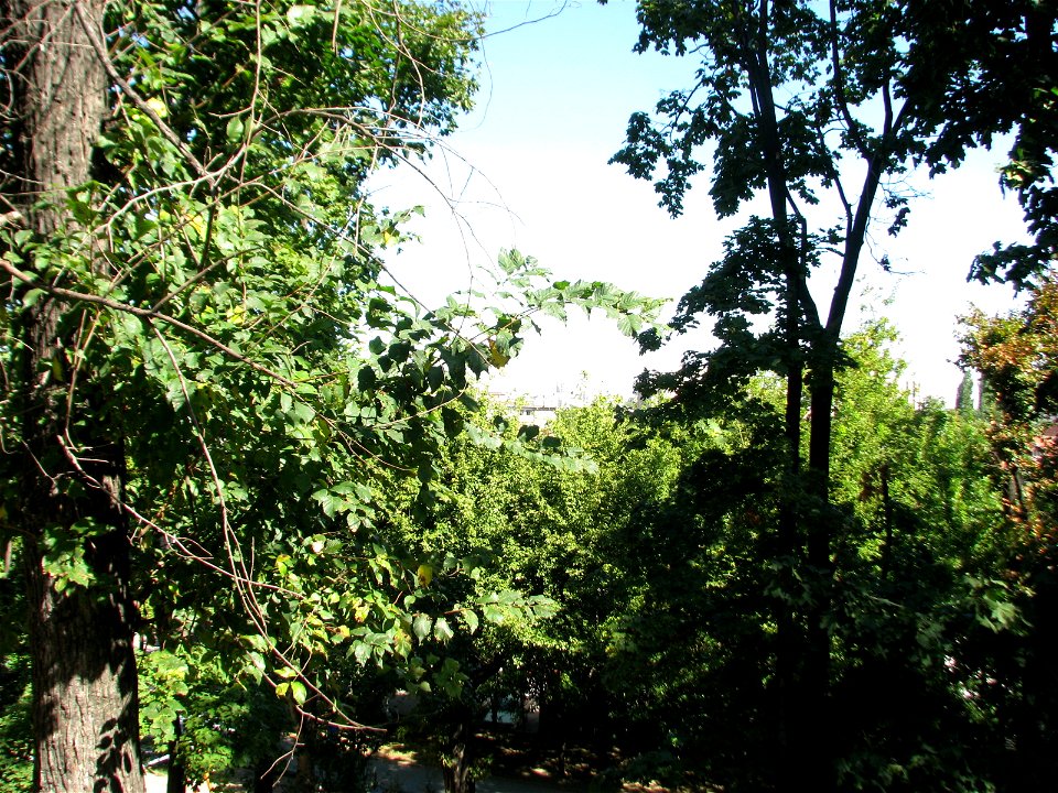 perspectiva parc Romniceanu (18)