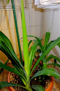 fabulous-foliage_2017_1125_172653