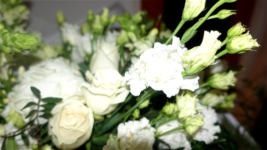 flori_flowers-wife-2023_0214_193441