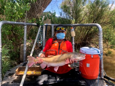 Young Volunteer with Endangered Colorado Pikeminnow photo