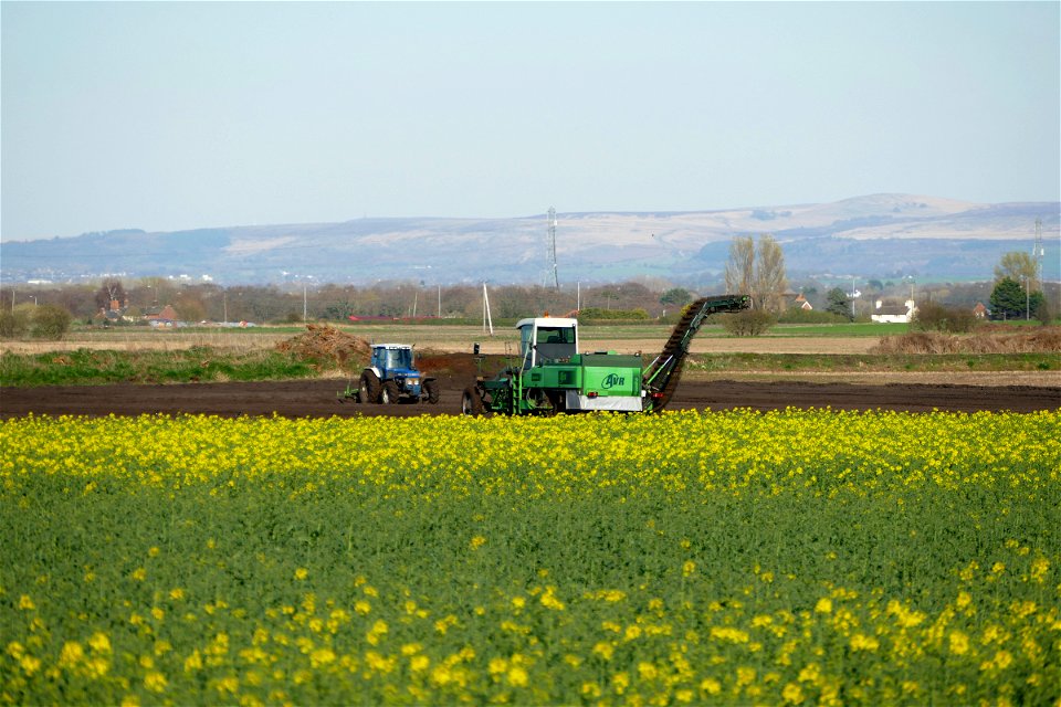 English Spring Farmland