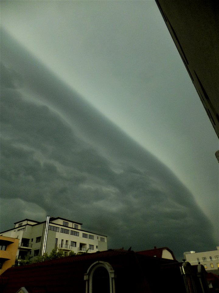 nori-sediu2015_0507_075336