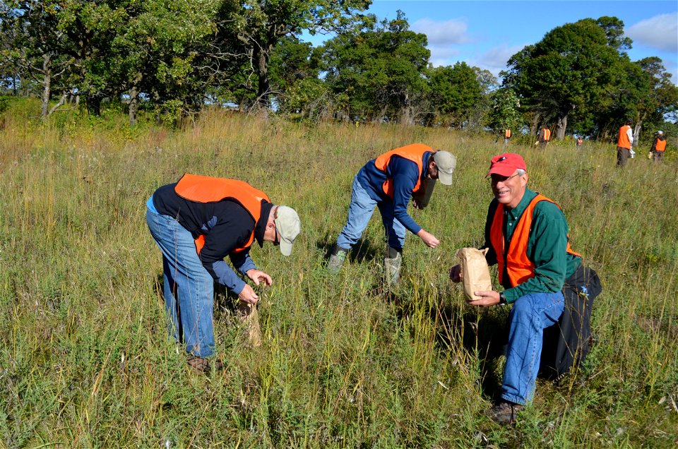 Leadership collecting seed