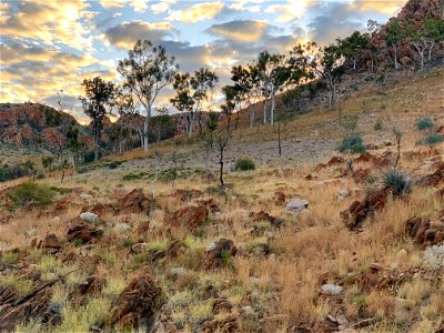 Between Inarlanga Pass and Waterfall Gorge (section 9) photo