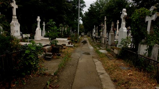 DSC06584