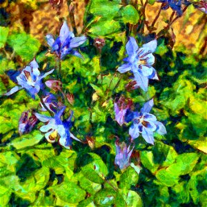 floral_DAP_Gogh2HD