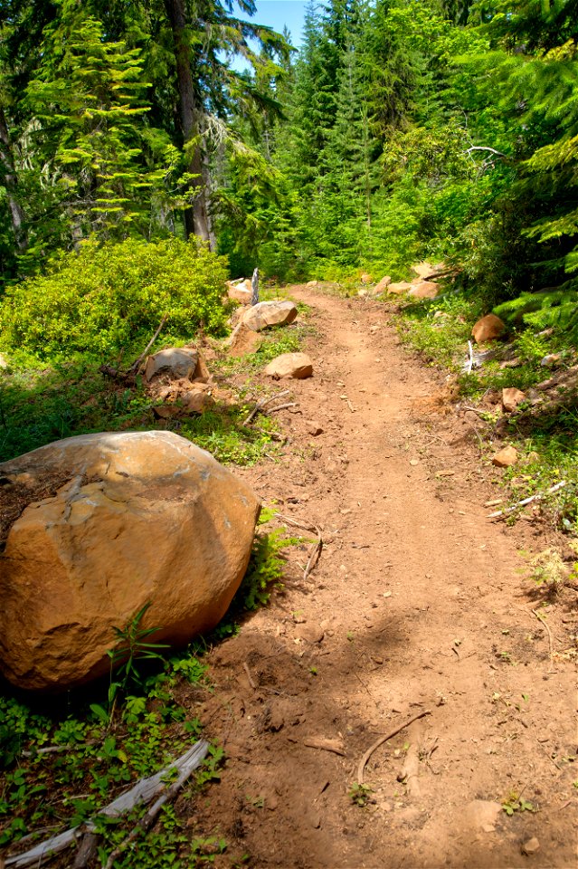 O-Mt Hood OHV Trail-14