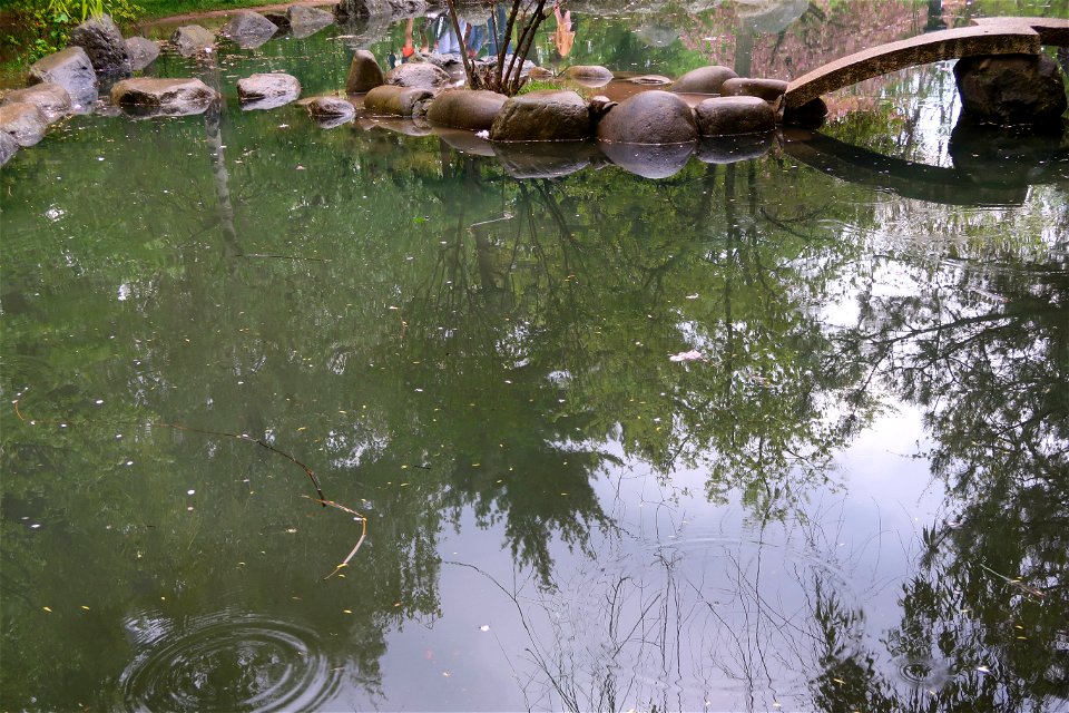 japanes_garden_rain_Herastrau (100)