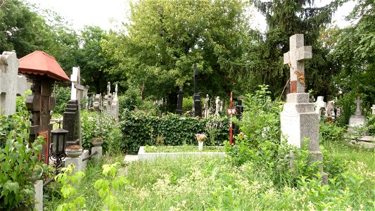 SfVineri_cemetery2021_0724_081257
