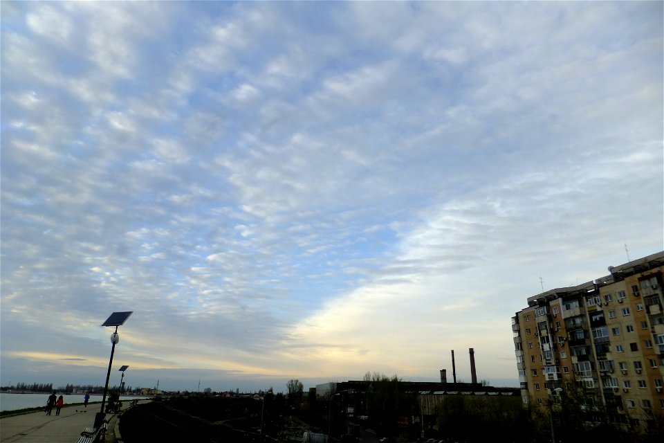 nori-LaculMorii2014_0325_061535