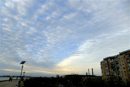 nori-LaculMorii2014_0325_061535