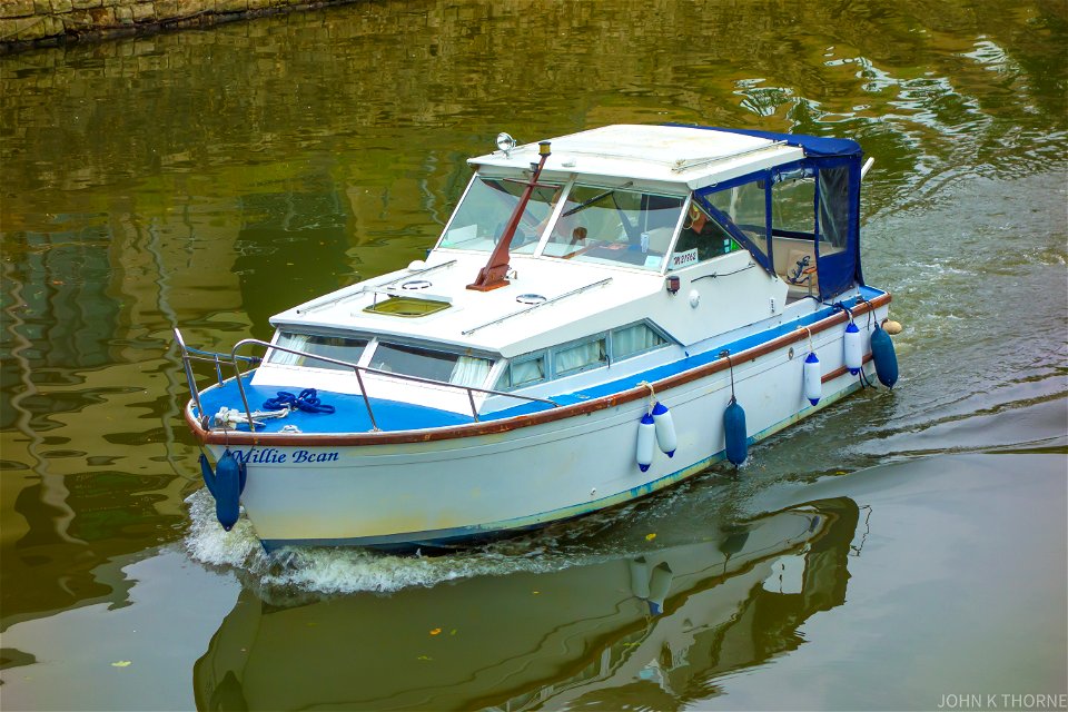 Millie Bean River Medway.