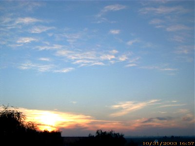 apus-caleavitan2003_1103_091120_16711218184_o