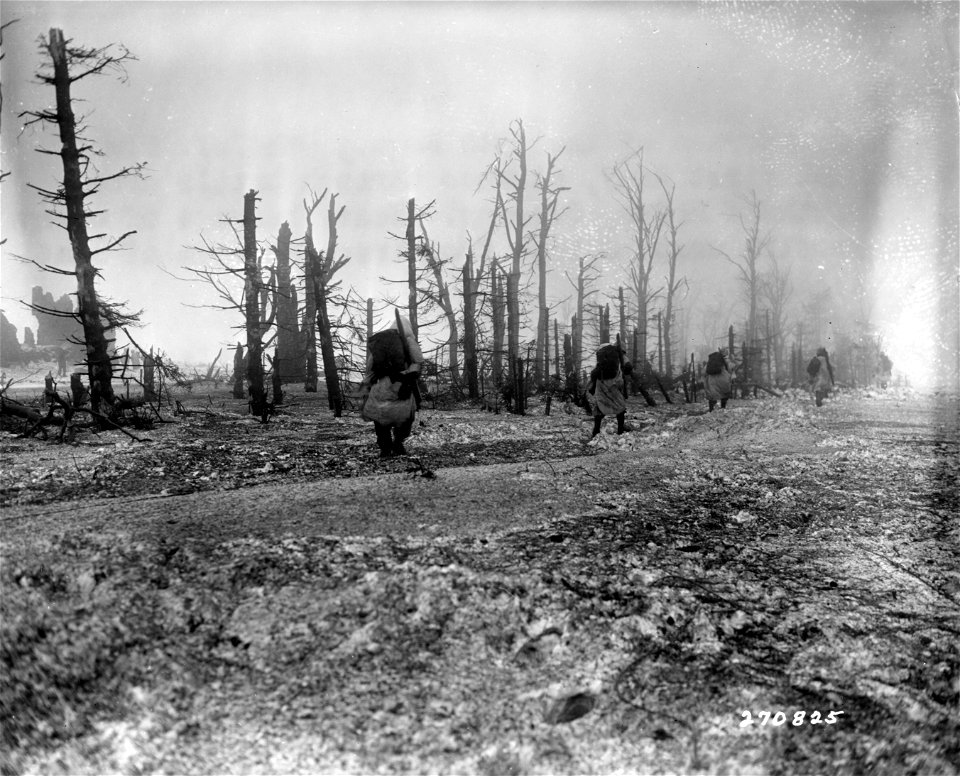 SC 270825 - Infantrymen of the 39th Regt., 9th Inf. Div., U.S. First Army, advance through battle area south of Hofen, Germany.