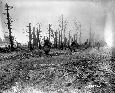SC 270825 - Infantrymen of the 39th Regt., 9th Inf. Div., U.S. First Army, advance through battle area south of Hofen, Germany.