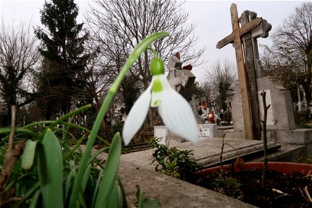 cimit_SfVineri2023_0225_140253