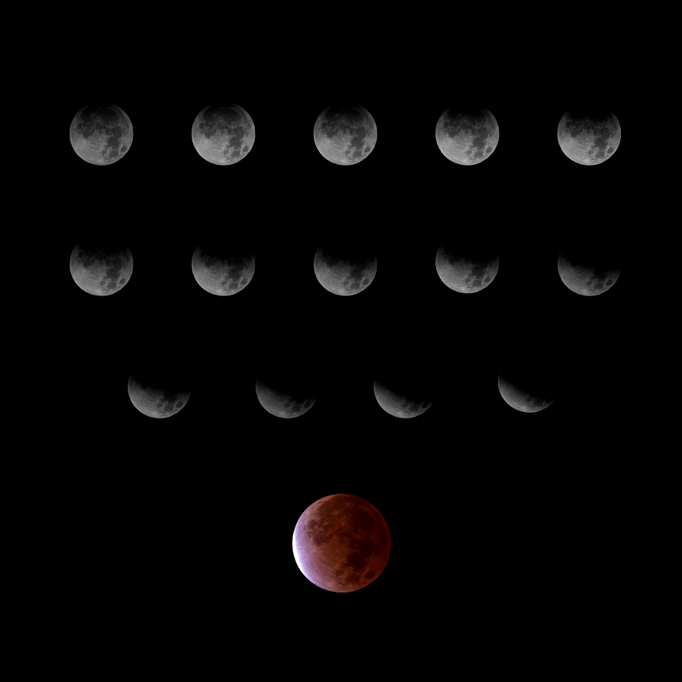 Day 325 - Lunar Eclipse Compilation photo