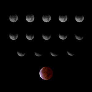 Day 325 - Lunar Eclipse Compilation photo