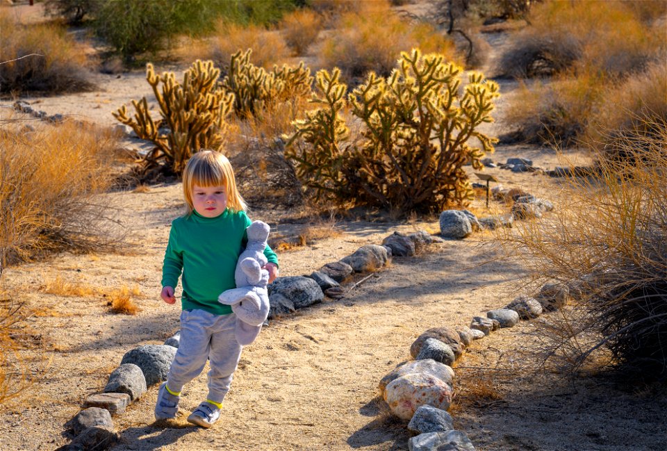 Santa Rosa San Jacinto Mountains National Monument photo