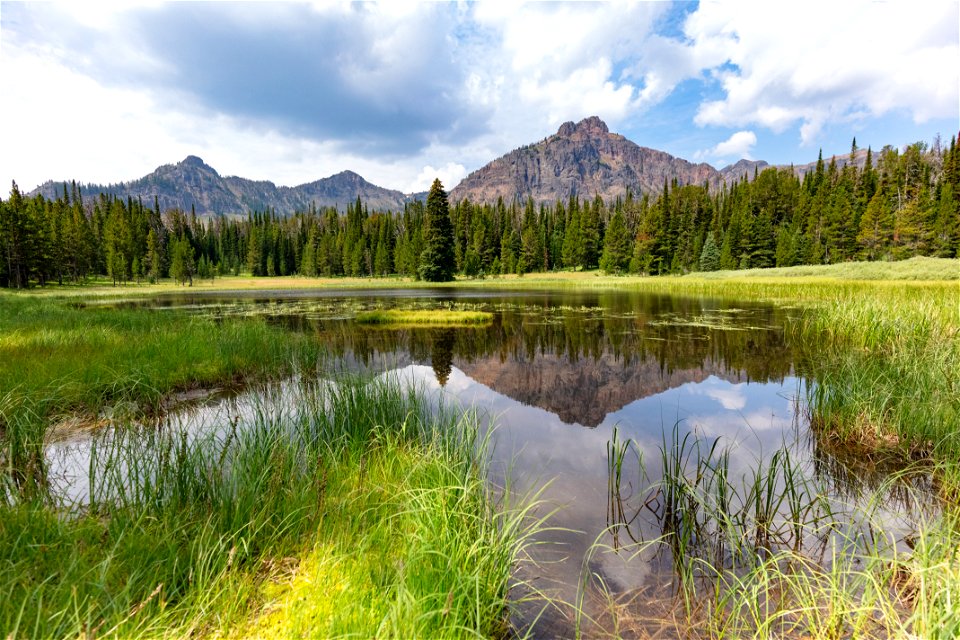 Custer-Gallatin National Forest, Knox Lake Trail: Monitor Peak Ridge