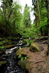 DSC_0408 (2)