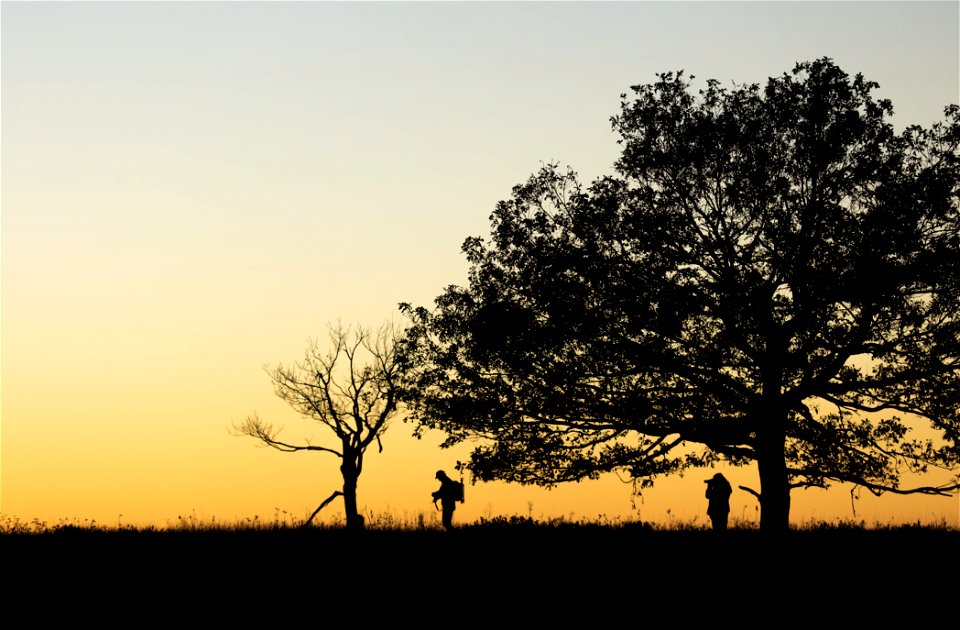 Photographers in Sunset Meadow
