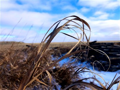 2021/365/328 Wind-ed
