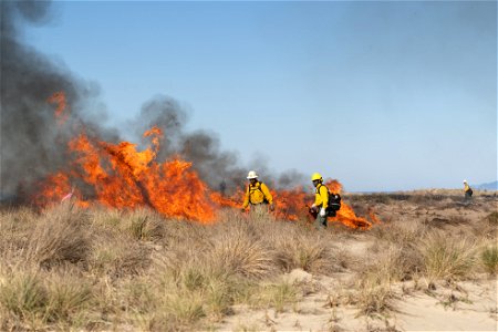 Siuslaw Oregon Dunes Prescribed Burn 2022