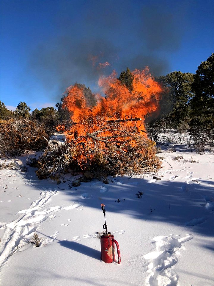 Pile burning on the West Dolores Rim Prescribed Pile Burn